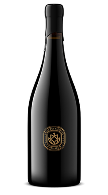 2019 Chehalem Statement Pinot Noir